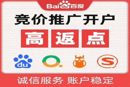 网络推广竞价策略案例分析